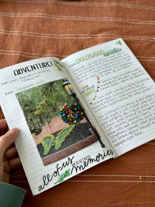 Dollywood Pen Pal Adventure Book