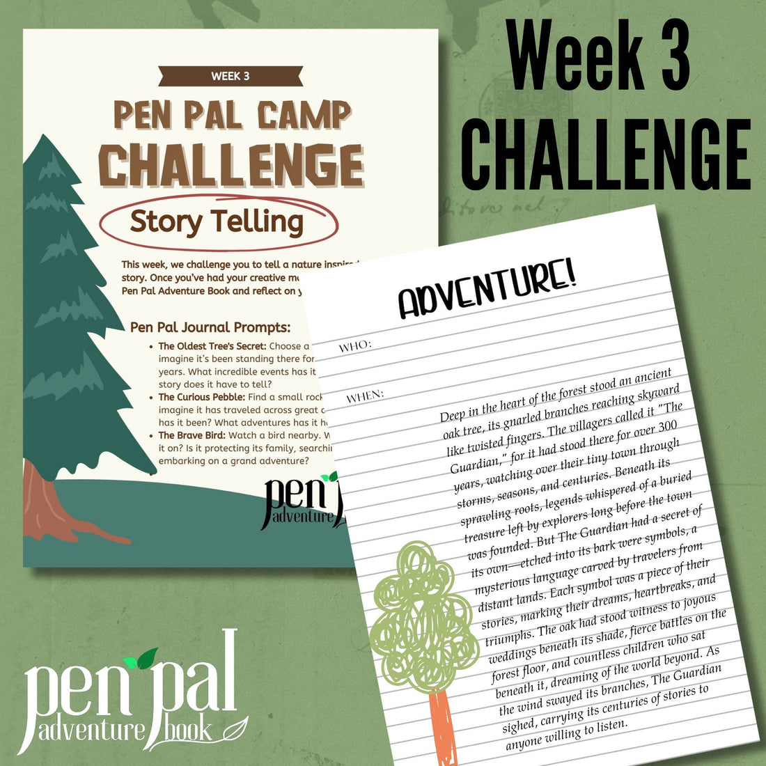 Pen Pal Campers Week 3 Challenge:  Nature Story Telling